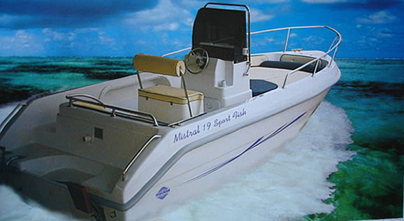 Mistral 19 Sport Fish con Mariner 50 4t